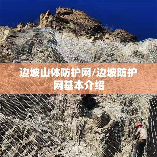 边坡山体防护网/边坡防护网基本介绍 边坡山体防护网/边坡防护网基本介绍
