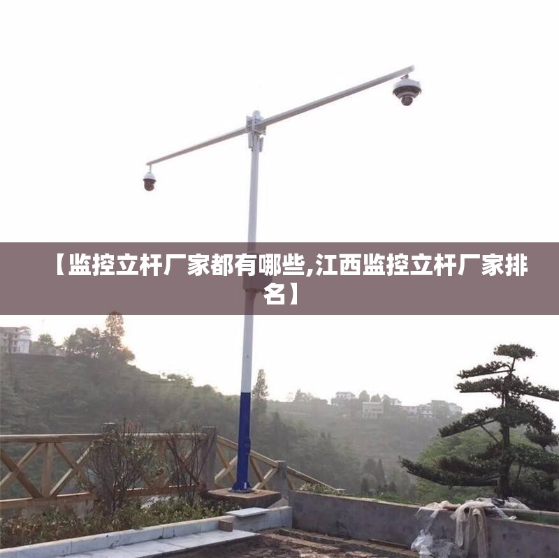 【监控立杆厂家都有哪些,江西监控立杆厂家排名】
