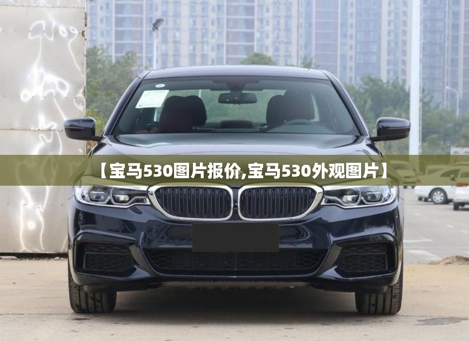 【宝马530图片报价,宝马530外观图片】 【宝马530图片报价,宝马530外观图片】