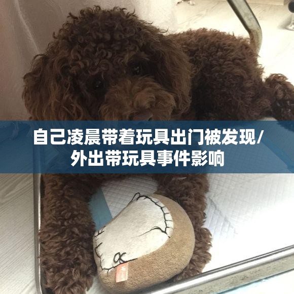 自己凌晨带着玩具出门被发现/外出带玩具事件影响