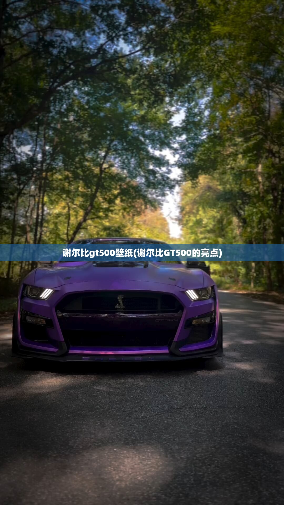 谢尔比gt500壁纸(谢尔比GT500的亮点) 谢尔比gt500壁纸(谢尔比GT500的亮点)