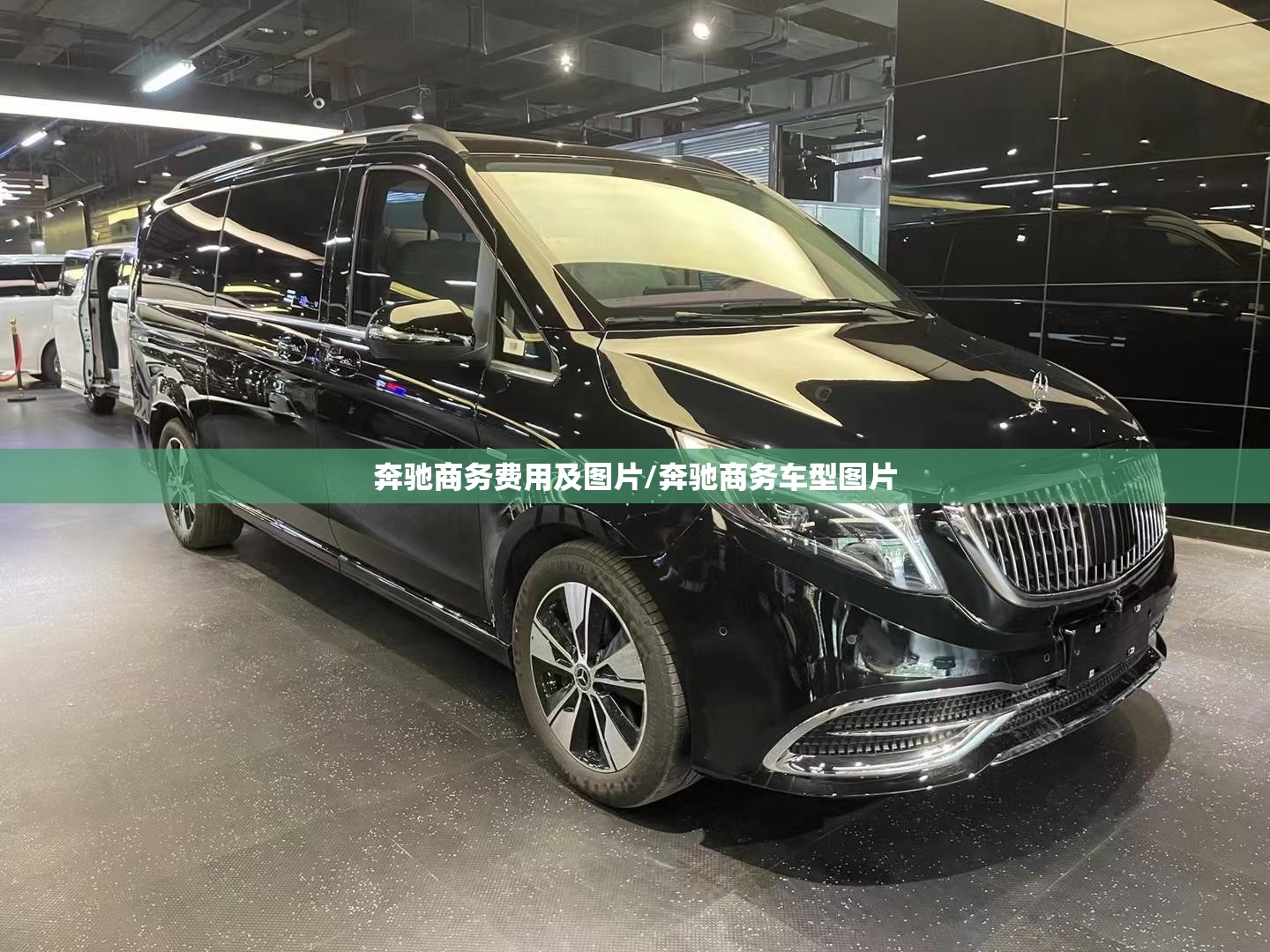 奔驰商务费用及图片/奔驰商务车型图片 奔驰商务费用及图片/奔驰商务车型图片