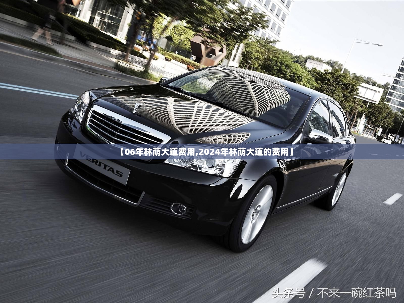 【06年林荫大道费用,2024年林荫大道的费用】