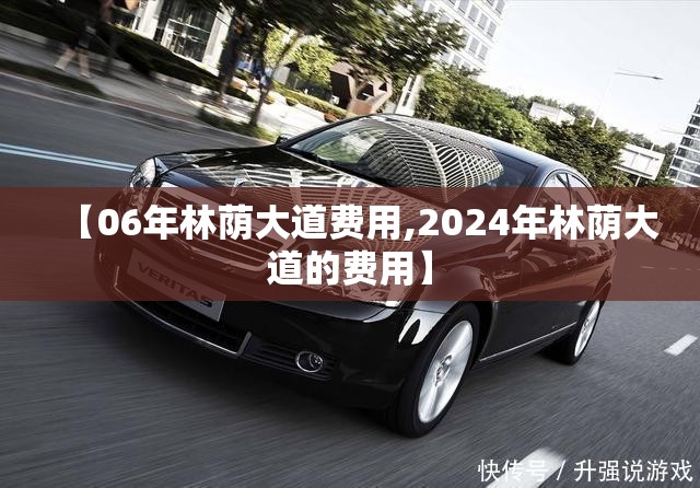 【06年林荫大道费用,2024年林荫大道的费用】