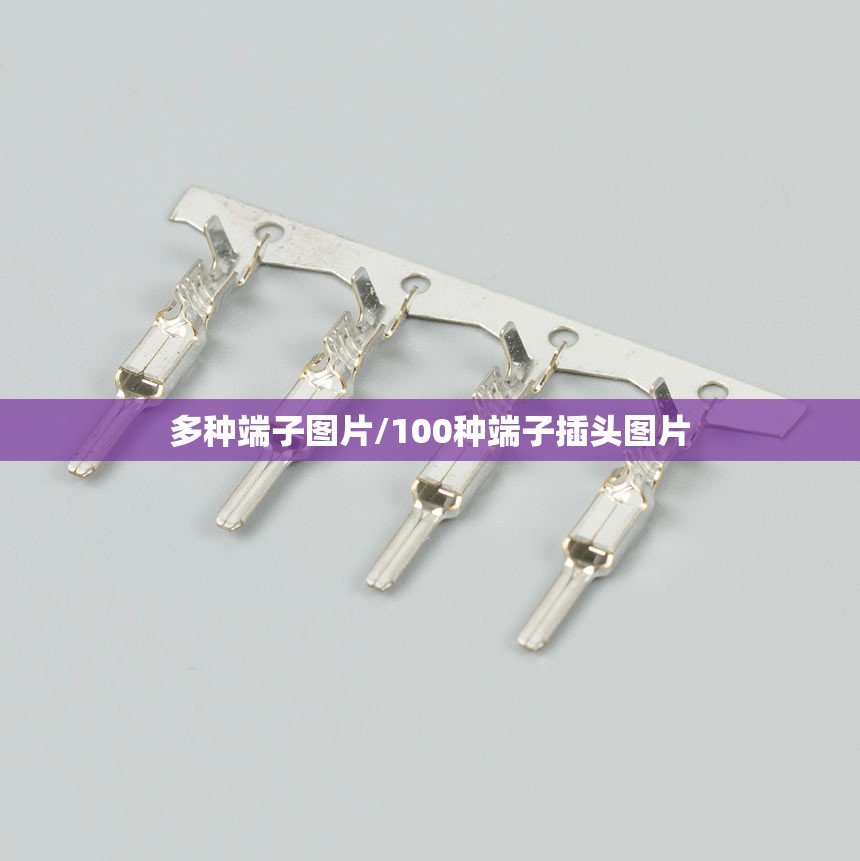 多种端子图片/100种端子插头图片