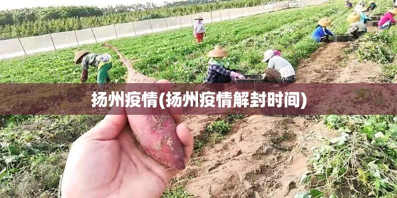 扬州疫情(扬州疫情解封时间) 扬州疫情(扬州疫情解封时间)