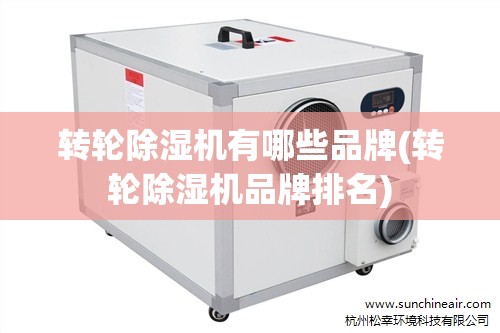 转轮除湿机有哪些品牌(转轮除湿机品牌排名) 转轮除湿机有哪些品牌(转轮除湿机品牌排名)