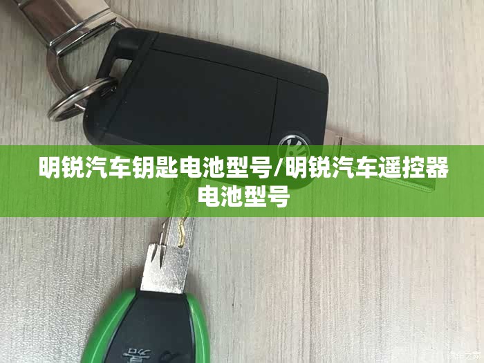 明锐汽车钥匙电池型号/明锐汽车遥控器电池型号 明锐汽车钥匙电池型号/明锐汽车遥控器电池型号