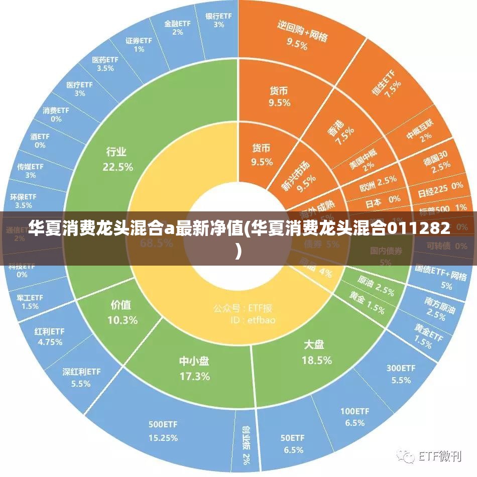 华夏消费龙头混合a最新净值(华夏消费龙头混合011282) 华夏消费龙头混合a最新净值(华夏消费龙头混合011282)