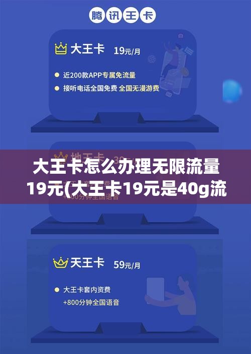 大王卡怎么办理无限流量19元(大王卡19元是40g流量吗)