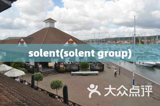 solent(solent group) solent(solent group)