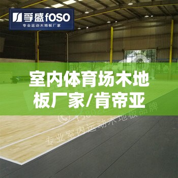 室内体育场木地板厂家/肯帝亚地板厂家联系方式 室内体育场木地板厂家/肯帝亚地板厂家联系方式