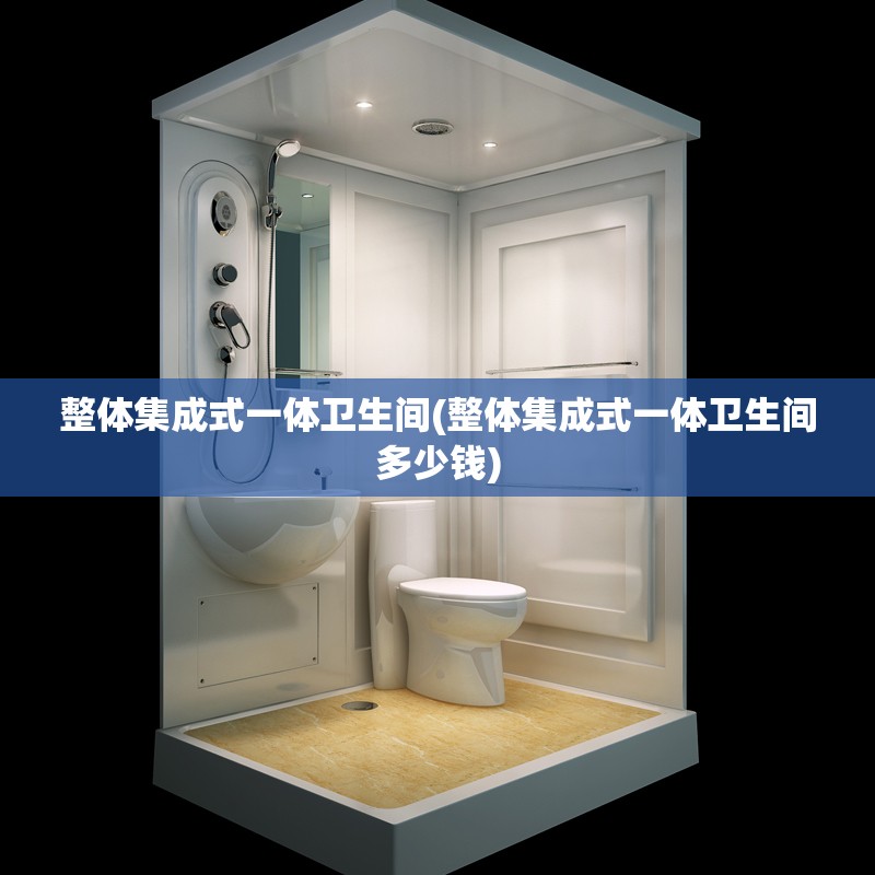 整体集成式一体卫生间(整体集成式一体卫生间多少钱)