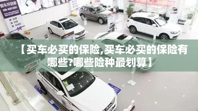 【买车必买的保险,买车必买的保险有哪些?哪些险种最划算】