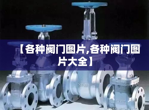 【各种阀门图片,各种阀门图片大全】 【各种阀门图片,各种阀门图片大全】