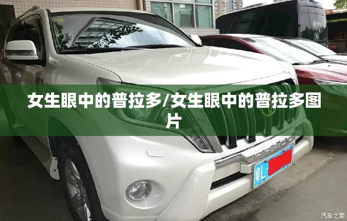 女生眼中的普拉多/女生眼中的普拉多图片 女生眼中的普拉多/女生眼中的普拉多图片