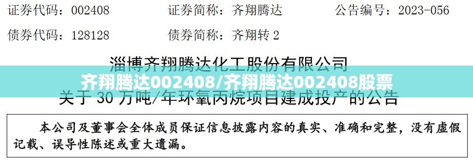 齐翔腾达002408/齐翔腾达002408股票