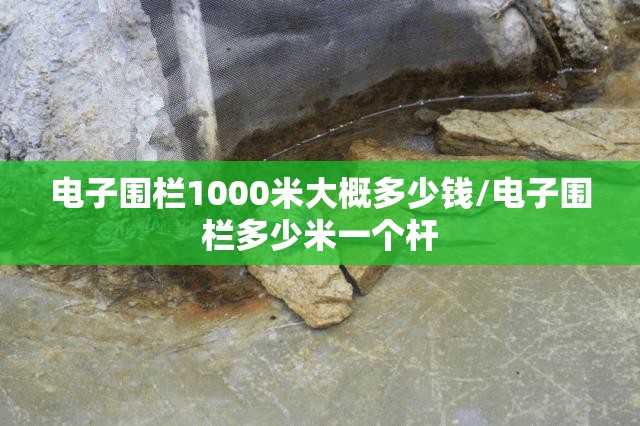 电子围栏1000米大概多少钱/电子围栏多少米一个杆 电子围栏1000米大概多少钱/电子围栏多少米一个杆