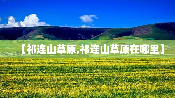 【祁连山草原,祁连山草原在哪里】 【祁连山草原,祁连山草原在哪里】