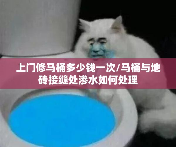 上门修马桶多少钱一次/马桶与地砖接缝处渗水如何处理