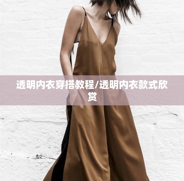 透明内衣穿搭教程/透明内衣款式欣赏 透明内衣穿搭教程/透明内衣款式欣赏