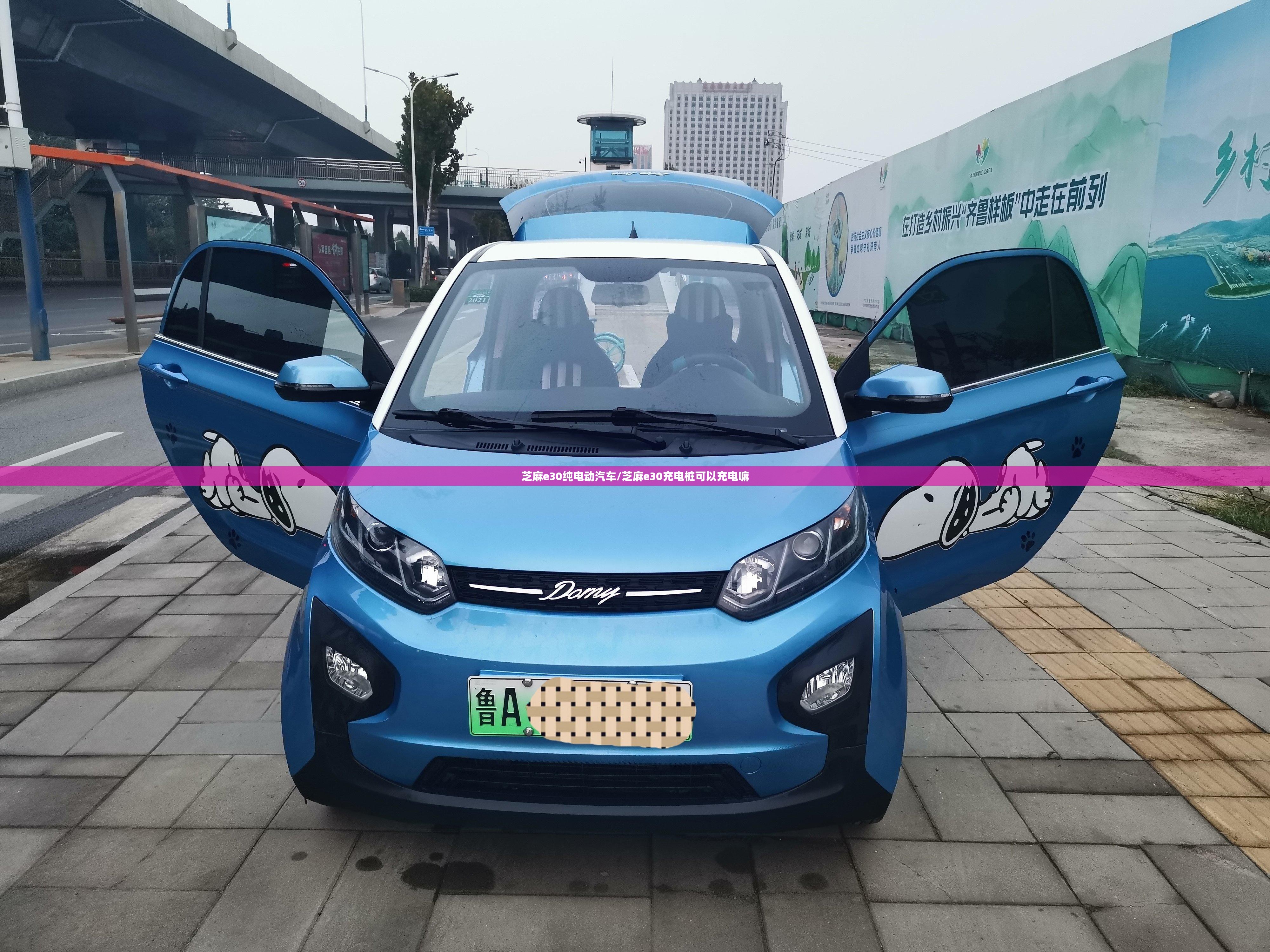 芝麻e30纯电动汽车/芝麻e30充电桩可以充电嘛 芝麻e30纯电动汽车/芝麻e30充电桩可以充电嘛