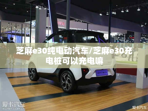 芝麻e30纯电动汽车/芝麻e30充电桩可以充电嘛 芝麻e30纯电动汽车/芝麻e30充电桩可以充电嘛