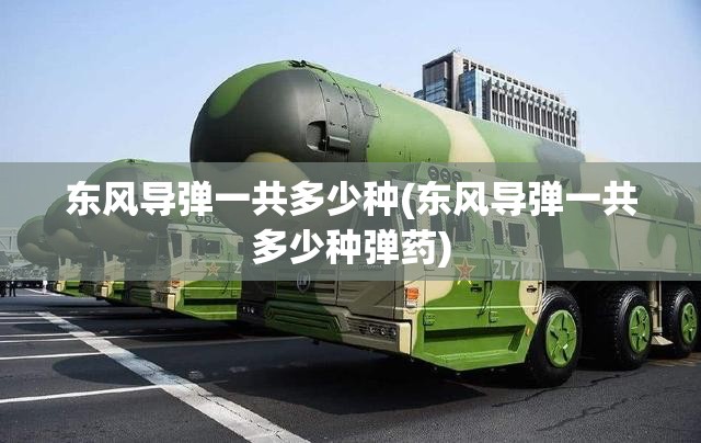 东风导弹一共多少种(东风导弹一共多少种弹药) 东风导弹一共多少种(东风导弹一共多少种弹药)