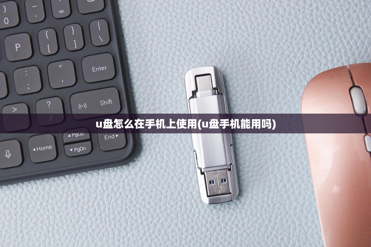 u盘怎么在手机上使用(u盘手机能用吗) u盘怎么在手机上使用(u盘手机能用吗)