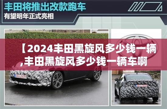【2024丰田黑旋风多少钱一辆,丰田黑旋风多少钱一辆车啊】 【2024丰田黑旋风多少钱一辆,丰田黑旋风多少钱一辆车啊】