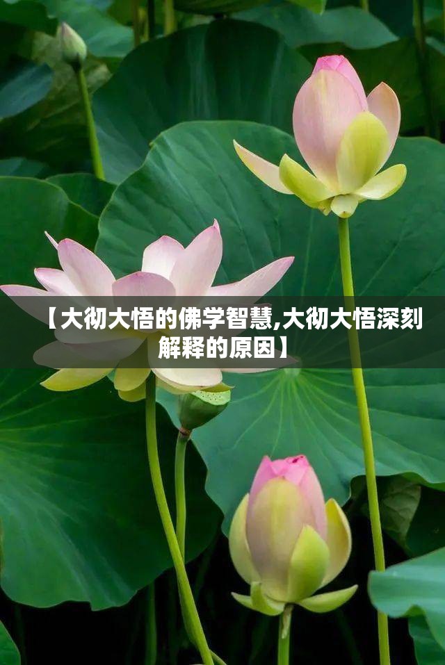 【大彻大悟的佛学智慧,大彻大悟深刻解释的原因】 【大彻大悟的佛学智慧,大彻大悟深刻解释的原因】