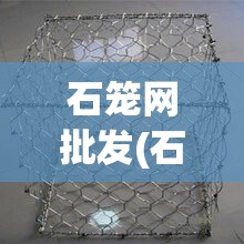 石笼网批发(石笼网批发厂家)
