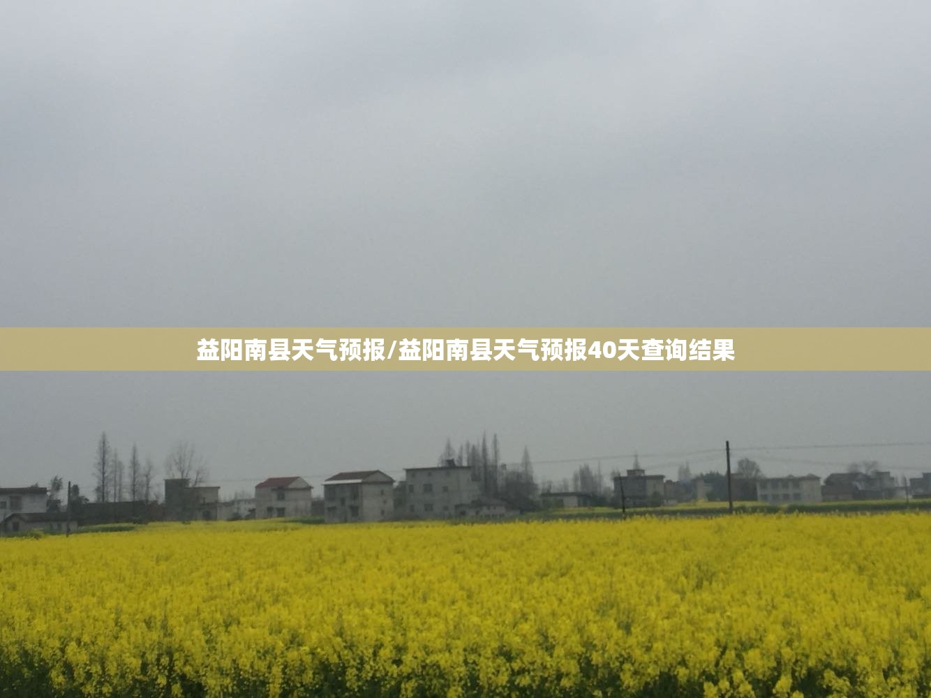 益阳南县天气预报/益阳南县天气预报40天查询结果
