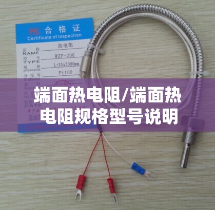 端面热电阻/端面热电阻规格型号说明 端面热电阻/端面热电阻规格型号说明