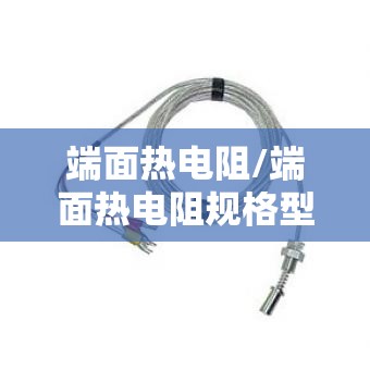 端面热电阻/端面热电阻规格型号说明 端面热电阻/端面热电阻规格型号说明