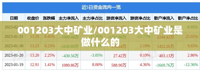 001203大中矿业/001203大中矿业是做什么的 001203大中矿业/001203大中矿业是做什么的