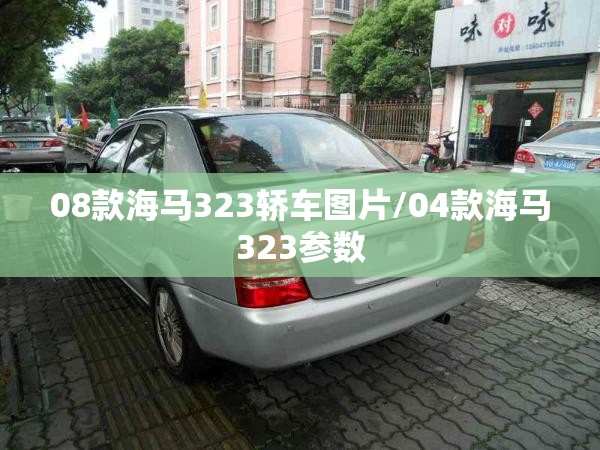 08款海马323轿车图片/04款海马323参数 08款海马323轿车图片/04款海马323参数