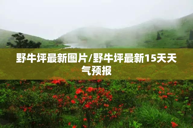 野牛坪最新图片/野牛坪最新15天天气预报 野牛坪最新图片/野牛坪最新15天天气预报