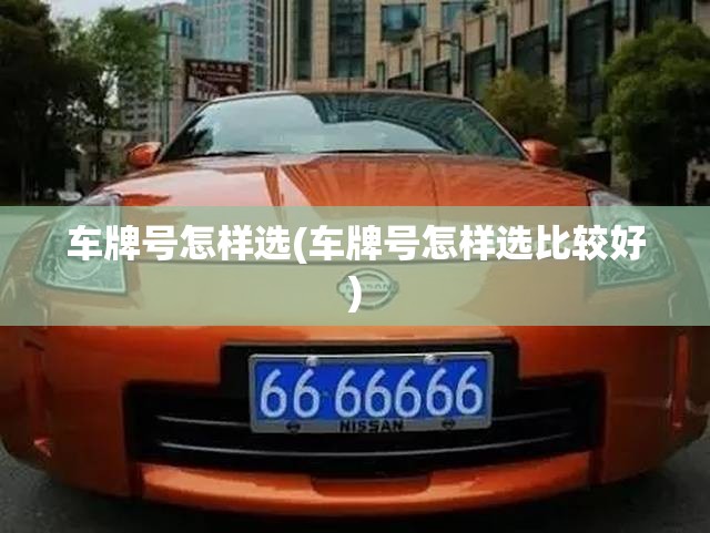 车牌号怎样选(车牌号怎样选比较好) 车牌号怎样选(车牌号怎样选比较好)