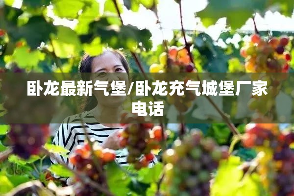 卧龙最新气堡/卧龙充气城堡厂家电话 卧龙最新气堡/卧龙充气城堡厂家电话