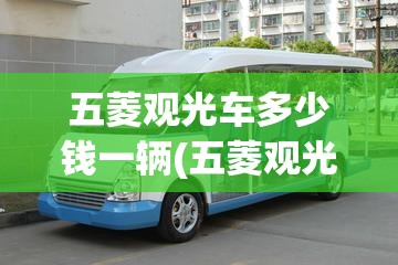 五菱观光车多少钱一辆(五菱观光车方向机支架多少钱) 五菱观光车多少钱一辆(五菱观光车方向机支架多少钱)