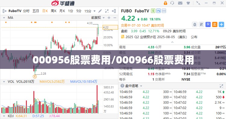 000956股票费用/000966股票费用 000956股票费用/000966股票费用