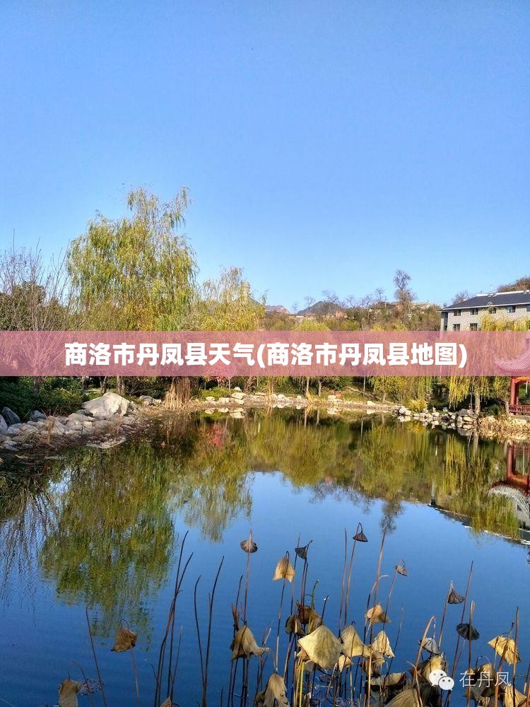 商洛市丹凤县天气(商洛市丹凤县地图)