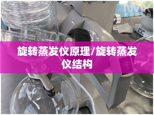 旋转蒸发仪原理/旋转蒸发仪结构 旋转蒸发仪原理/旋转蒸发仪结构