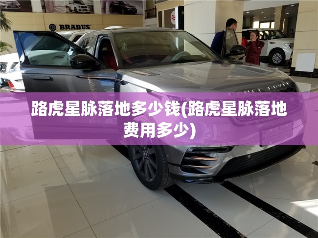 路虎星脉落地多少钱(路虎星脉落地费用多少)