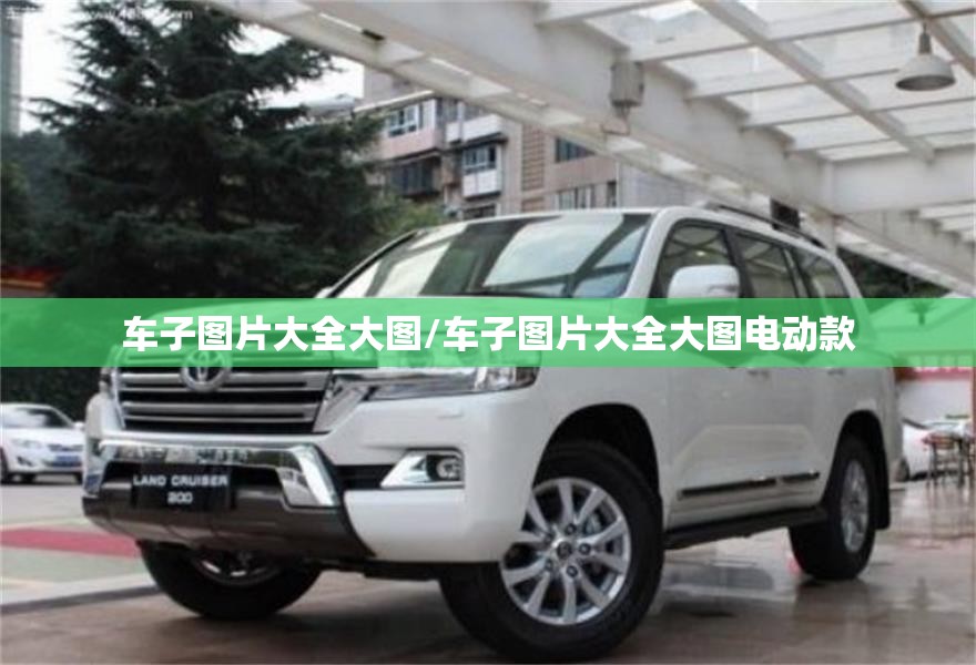 车子图片大全大图/车子图片大全大图电动款