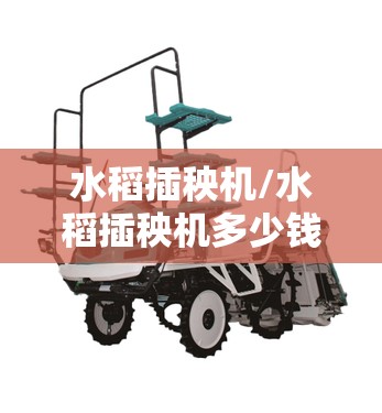水稻插秧机/水稻插秧机多少钱一台