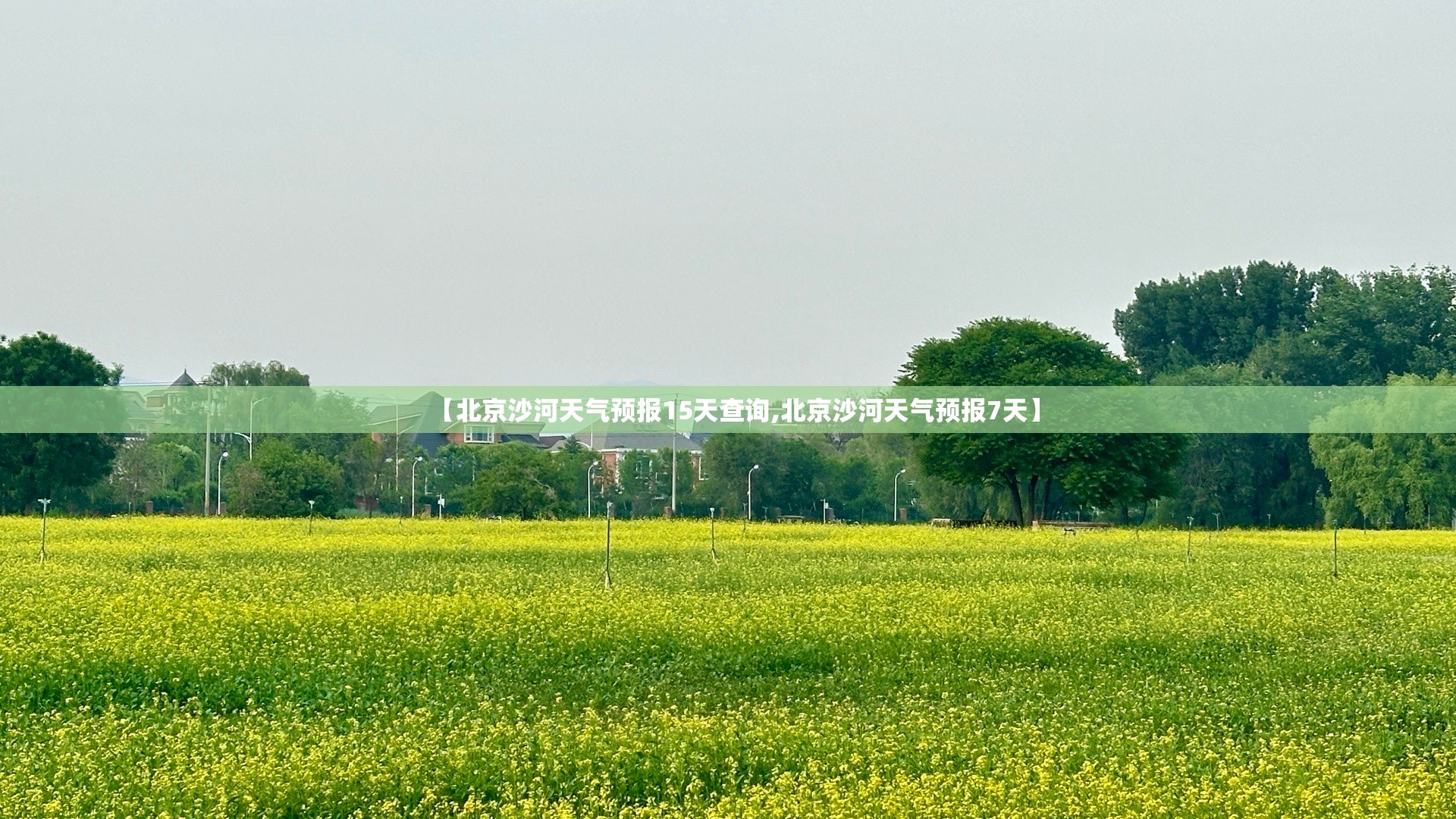 【北京沙河天气预报15天查询,北京沙河天气预报7天】 【北京沙河天气预报15天查询,北京沙河天气预报7天】
