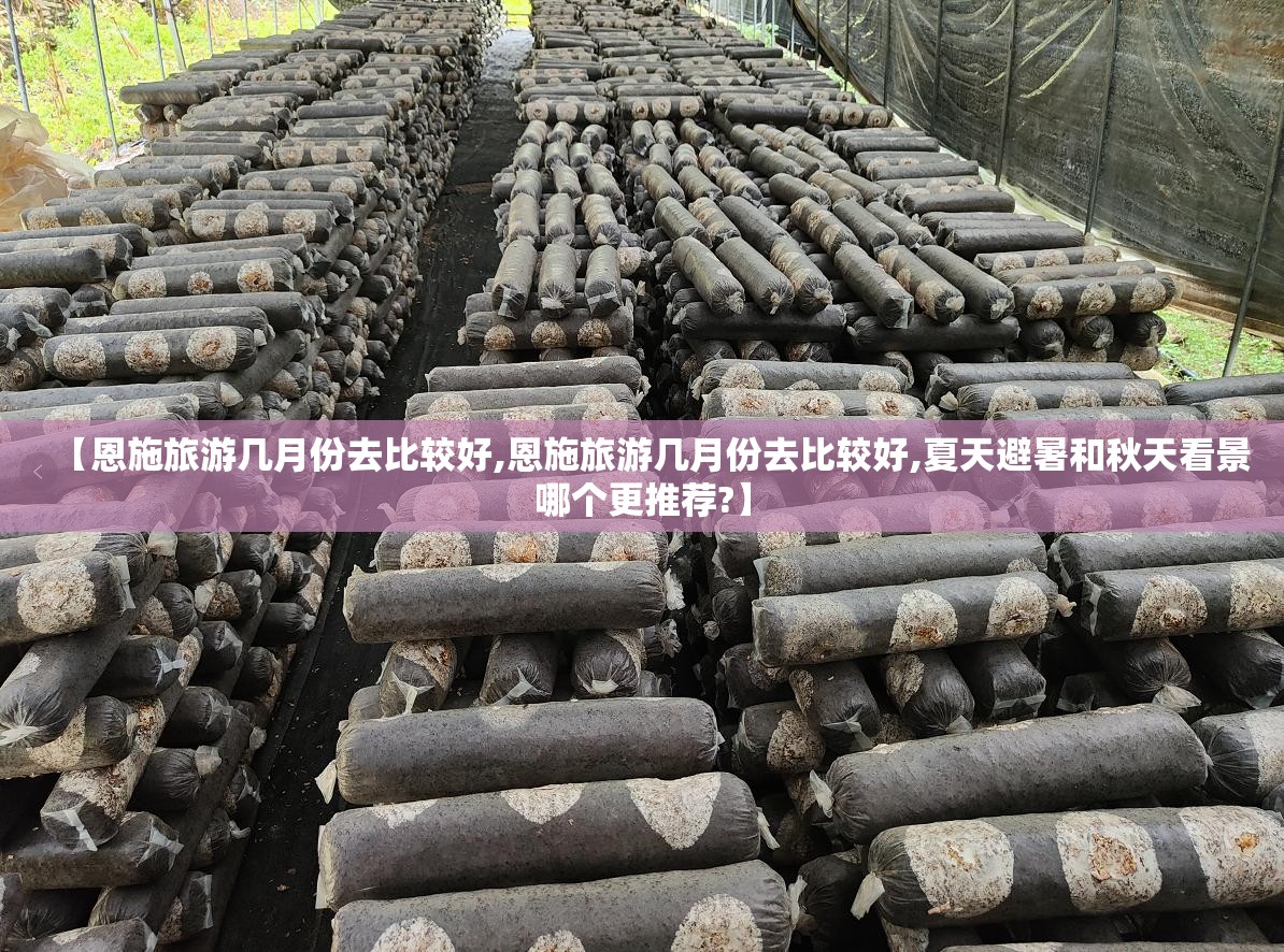 【恩施旅游几月份去比较好,恩施旅游几月份去比较好,夏天避暑和秋天看景哪个更推荐?】 【恩施旅游几月份去比较好,恩施旅游几月份去比较好,夏天避暑和秋天看景哪个更推荐?】