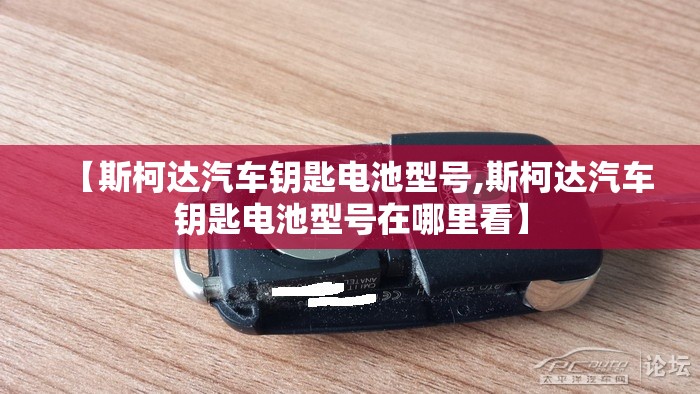 【斯柯达汽车钥匙电池型号,斯柯达汽车钥匙电池型号在哪里看】 【斯柯达汽车钥匙电池型号,斯柯达汽车钥匙电池型号在哪里看】